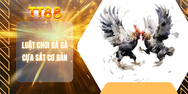Luật chơi đá gà cựa sắt cơ bản