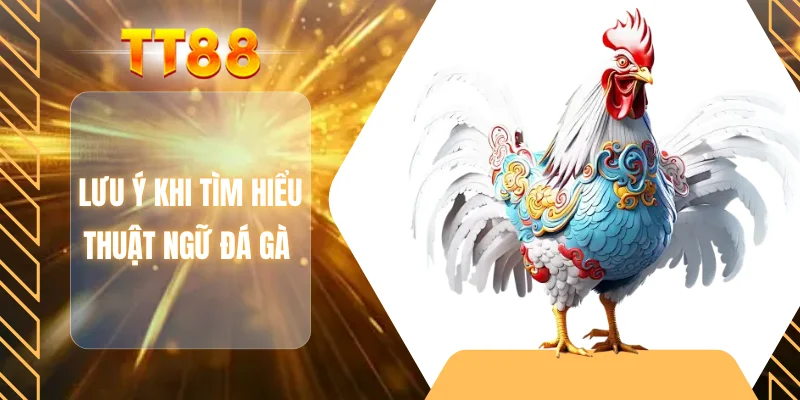 Lưu ý khi tìm hiểu thuật ngữ đá gà