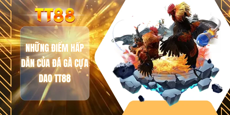 Những điểm hấp dẫn của đá gà cựa dao TT88