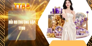 Rủi ro thường gặp TT88