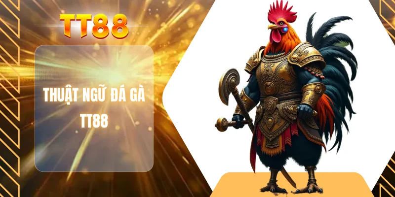 Thuật ngữ đá gà TT88